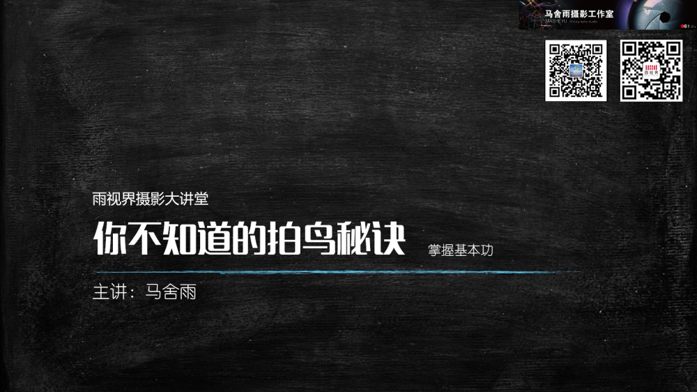 告诉你不知道的拍鸟秘诀--“数毛片”的拍摄技巧