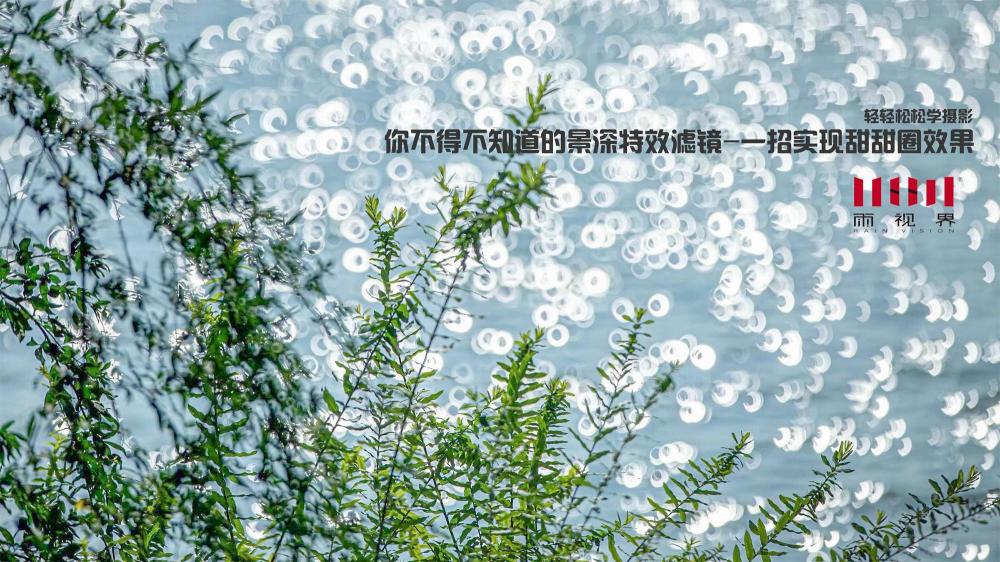 利用光晕滤镜一招美化照片